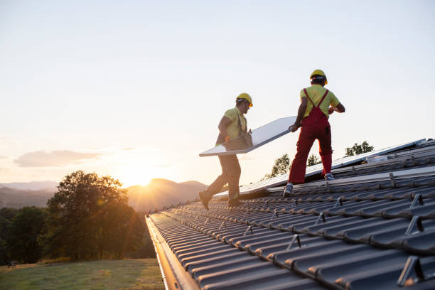 Best Roof Moss and Algae Removal  in Nebo, NC