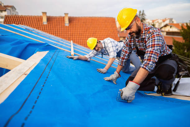 Best Roof Ventilation Installation  in Nebo, NC