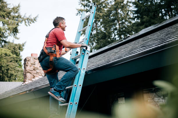 Best Roof Maintenance and Cleaning  in Nebo, NC