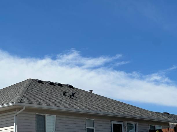 Best Gutter Installation and Repair  in Nebo, NC